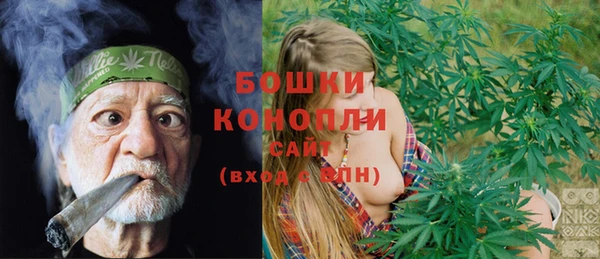 спайс Арсеньев