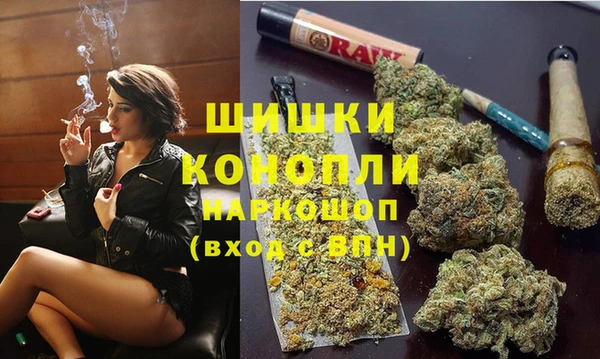 крисы Армянск